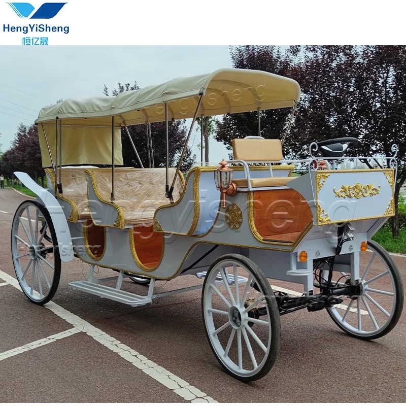 Electric Luxury three-row  Sightseeing Drawn Horse Carriage/Special Transportation  tourism Horse  Carriage