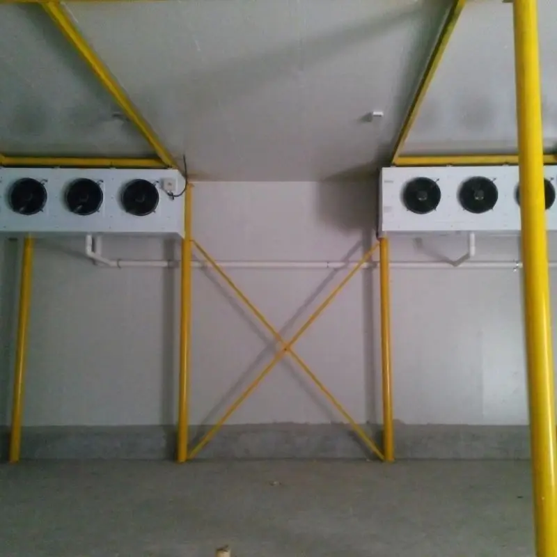 Low Cost Freezer Room For Supermarket