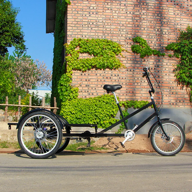 Scooter Flatbed Tricycle Electric Trike for Transportation 3 Wheel Cargo Ebike