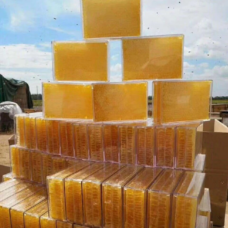 Comb Honey Box Plastic Container Packing Wholesale Wild 100% Natural White 100% ORIGINAL Honeycomb Bulk Packaging Raw Honey 1KG