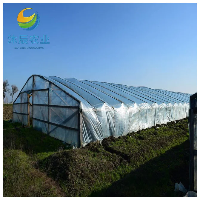 Customized Greenhouse China Factory Outlet Agricultural Greenhouses Multi-span Plastic Film Tunnel Hydroponic Green House