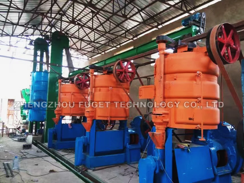 professional factory 204 big screw cold sunflower cotton seeds safflower oil press oil pressing machine