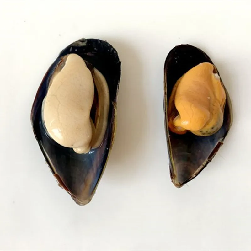 China seafood manufacturers, suppliers , exporters on frozen boiled mussel meat