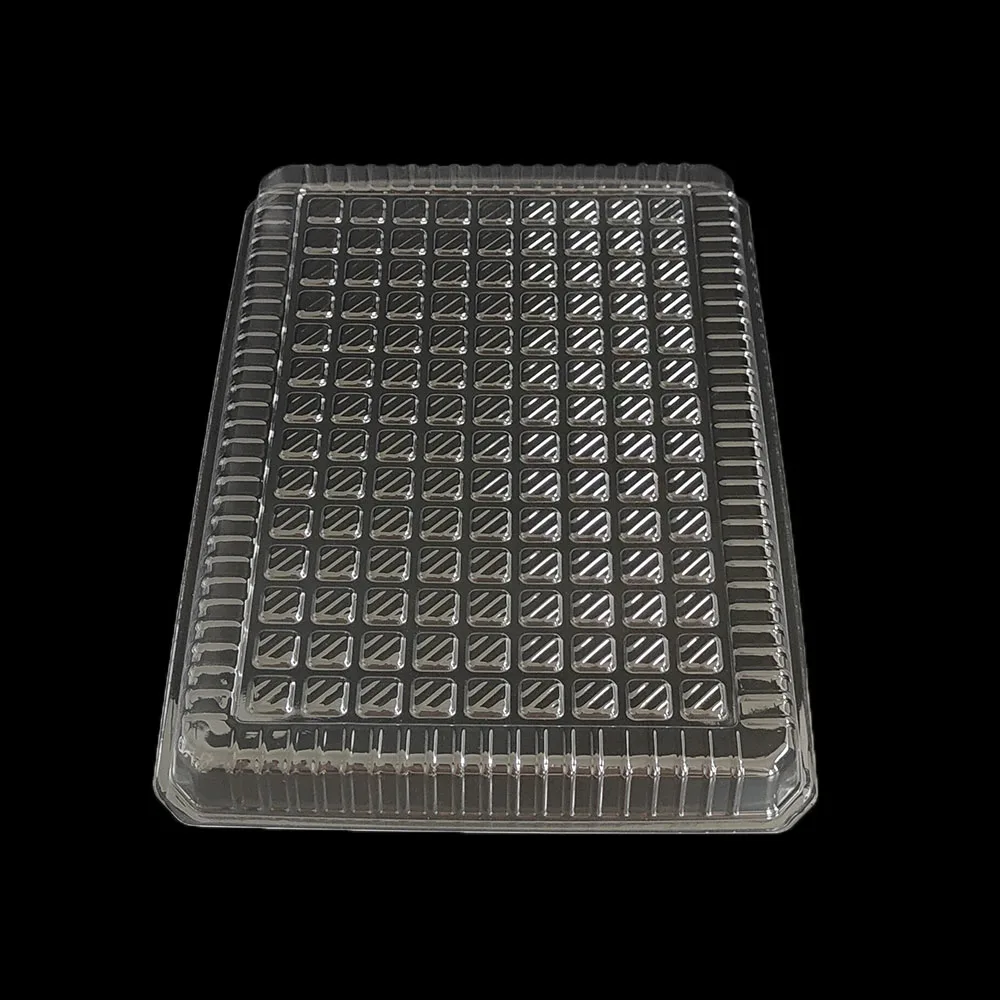 Rectangular Disposable Plastic Food Container Blister Mushroom Packaging Square Pattern Pet Packing tray