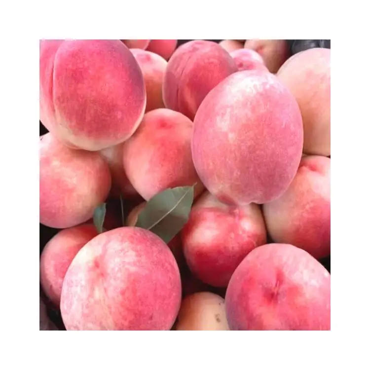 Цена от производителя, сладкое дыхание, сладкий Пекин № 7, сладкие свежие персики
