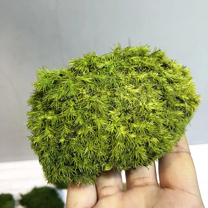 EG-V035 High Quality Bulk Materials Real Natural Soft Everlasting Preserved Moss Spanish Moss Caribbean Sea Moss