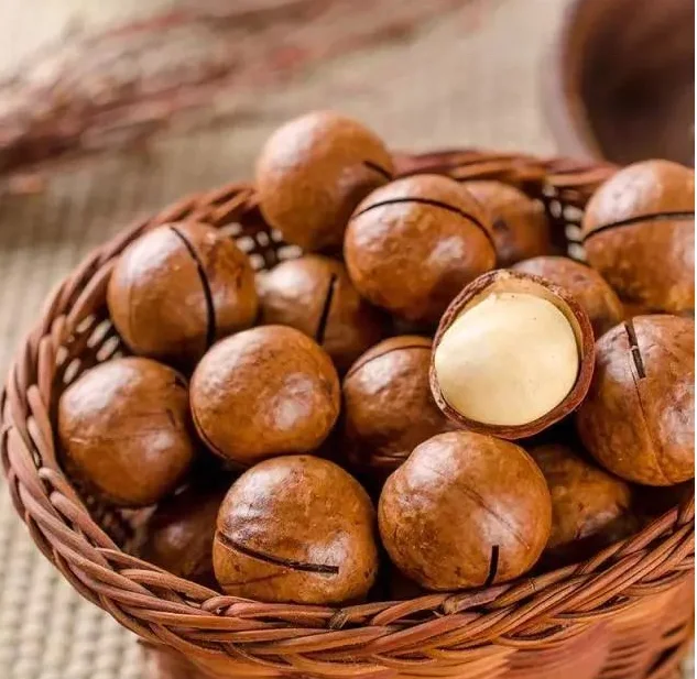 China  Origin  Macadamia Nut with high quality