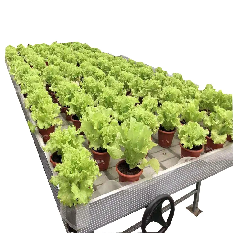 Wholesaler product greenhouse system garden flood table hydroponics ebb and flow system