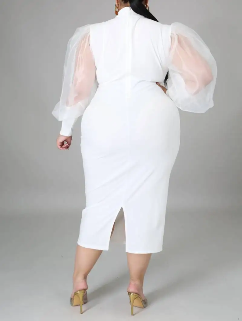 Plus size women long sheer sleeve  mock neck back zipper closure stretch dress STPSD009