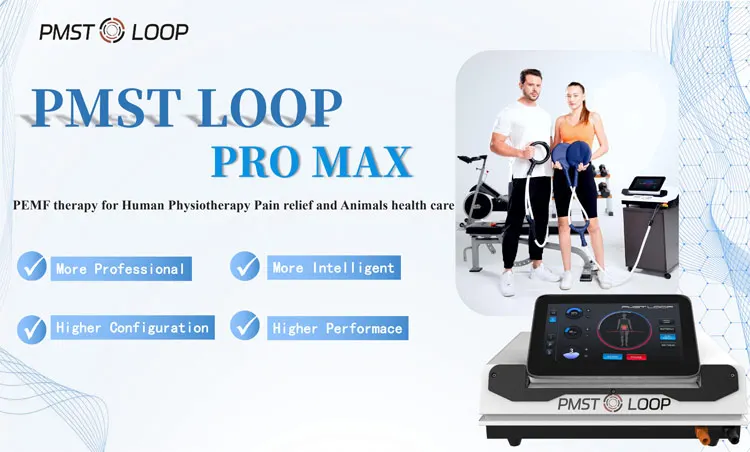 mat PEMF Equine And Human Pain Relief Machine Pulsed Electromagnetic Field PMST LOOP PRO MAX pemf Magnetic Therapy Machine