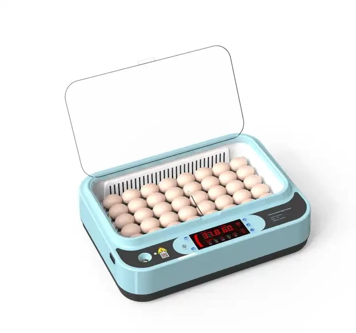 12 eggs capacity Dual Power Supply Automatic Chicken Egg Incubator For Hatching Eggs (12/15/24/36/64 Capacity)