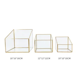 Hanging vertebral gold metal geometric glass terrarium air plants holder tabletop succulents planter box