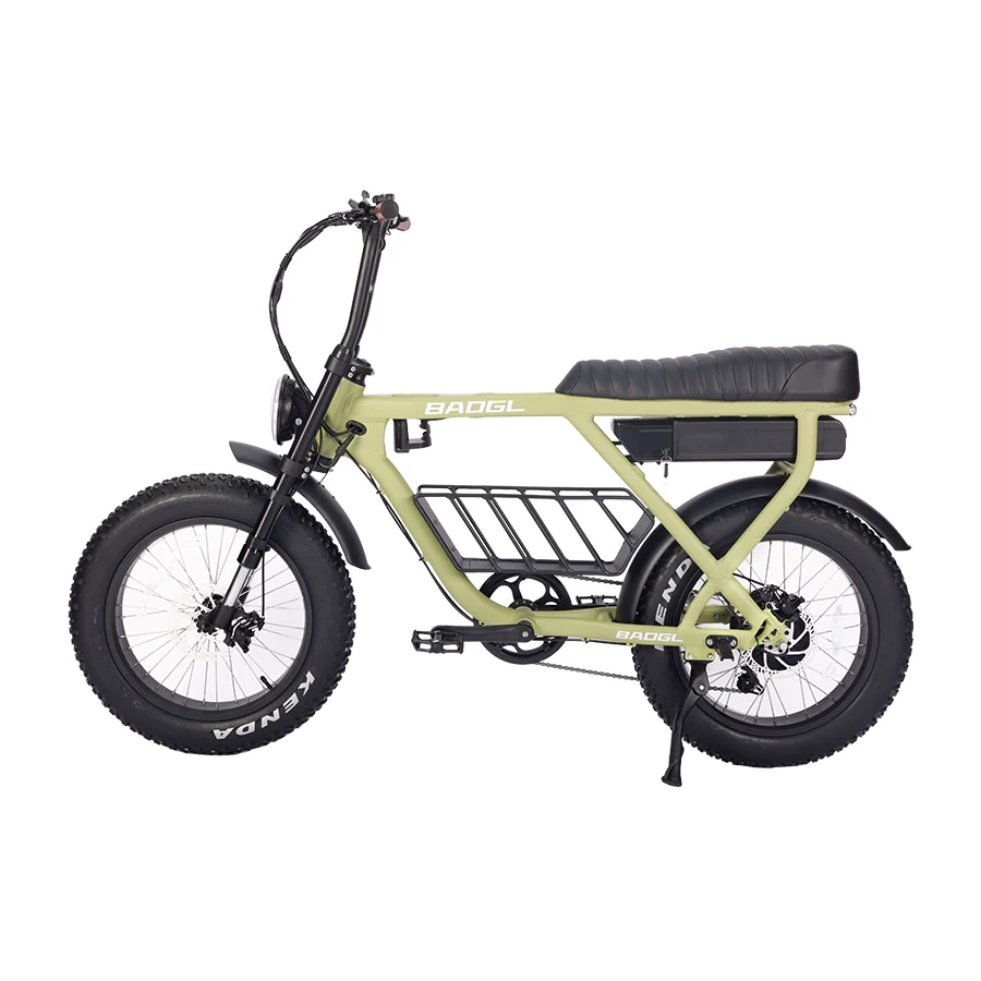2023 Hot Sale Electric Bicycle 1000W 48V 20Inch Electric City Bike Electric Bike