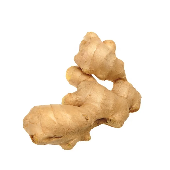 Ginger and Garlic wholesale supplier Shandong China for sale preferential price and high quality