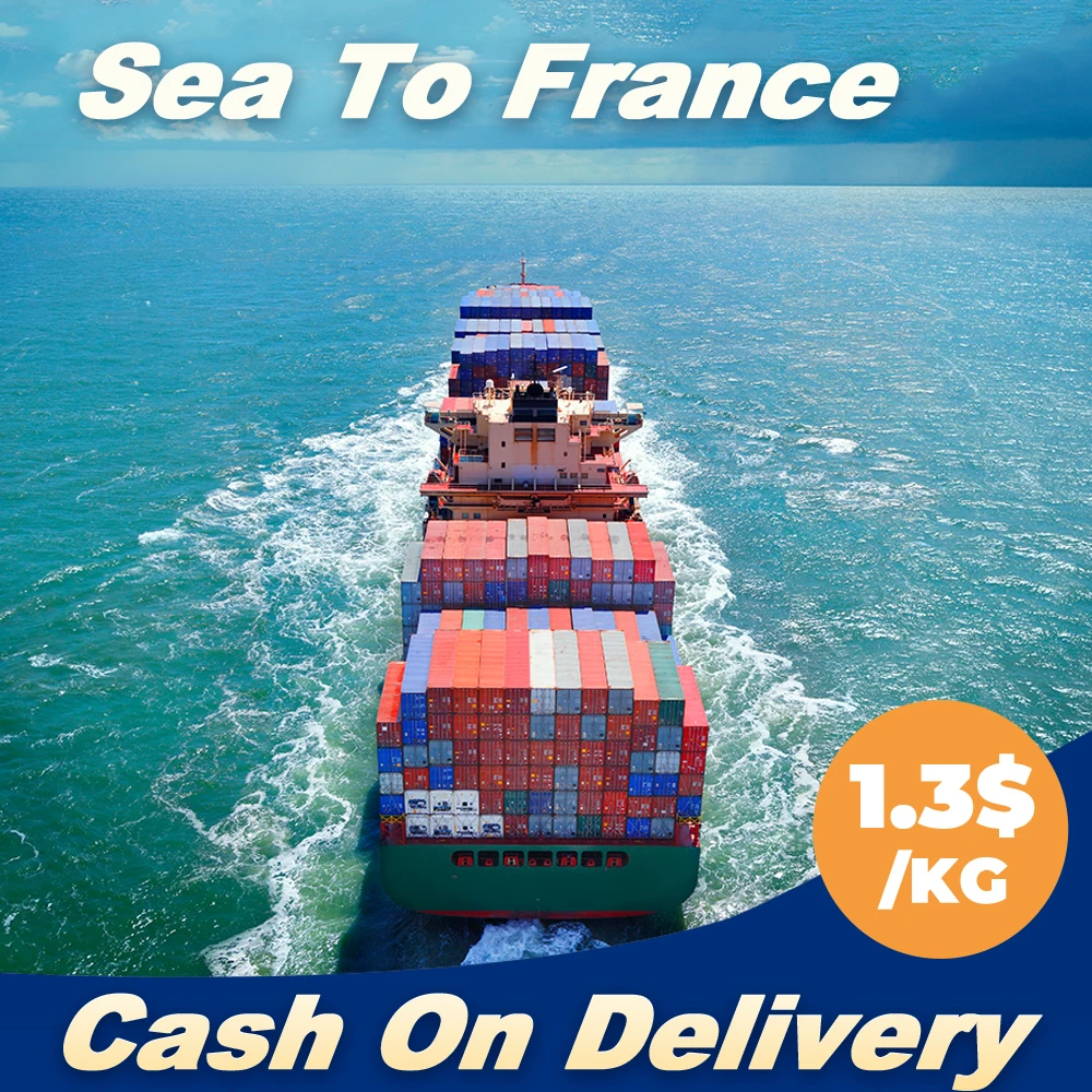 transport sea cargo freight from qingdao china marseille to le havre france port