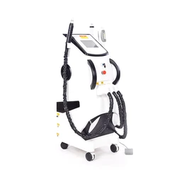 Multifunctional Tattoo Eyebrow Pigment Removal Beauty Machine Laser Beauty Equipment Depilation