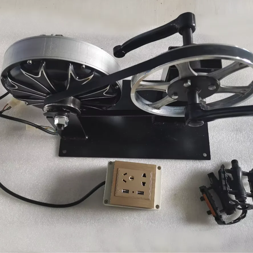 300w brushless Permanent magnet Pedal bicycle generator DC AC output