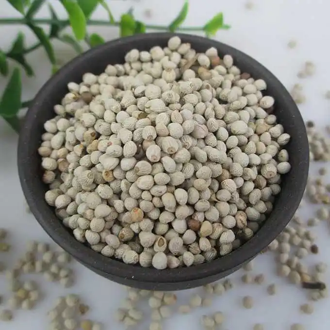 
High quality perilla seeds for oil seeds for bird 