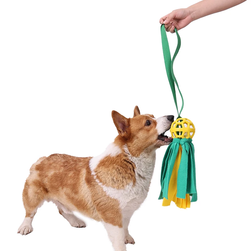 Custom Dog Toys Interactive Ball Toy dog toys for aggressive chewers