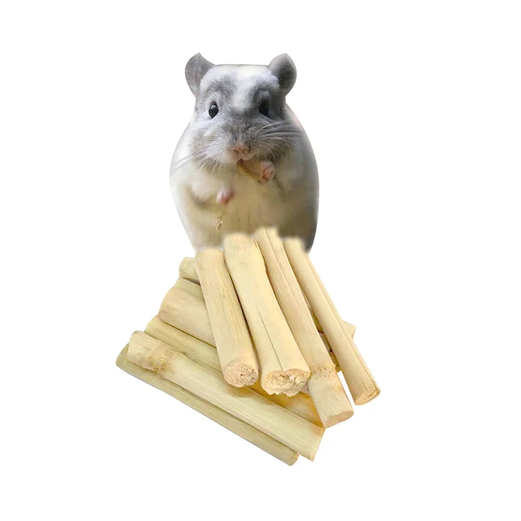 
Agricultural Sugar Cane for chewing by rabbits, hamsters, and rodents 