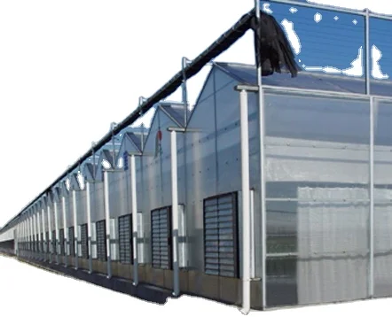 Commercial solar panel 5mm tempered glass greenhouse farming for vegetable growing