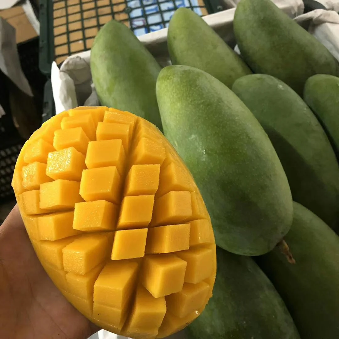 
Hot Selling 20cm A Level Oval Vietnam Sweet Fresh Yellow Mango 