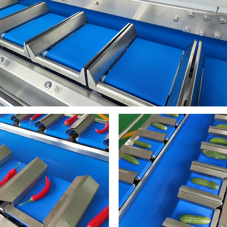 Semi-Automatic  Fresh Beef Pork Cuttlefish Dried Squid 12 Belt Mulithead Weigher