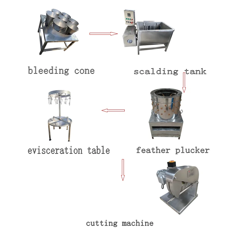 100-300 small chickens slaughterhouse equipment processing machine