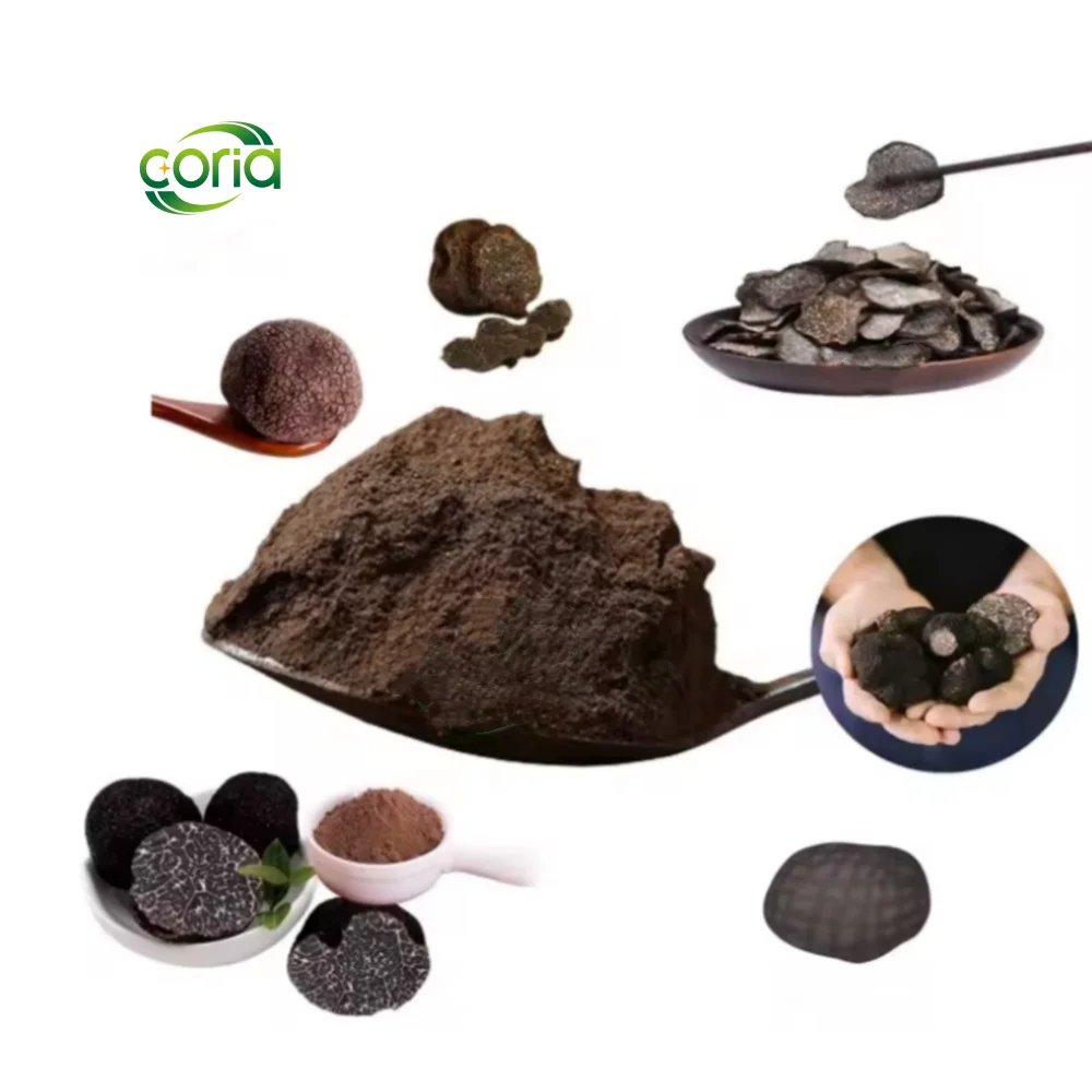 High Quality Truffles Mushrooms Price Black Truffle Extract Powder