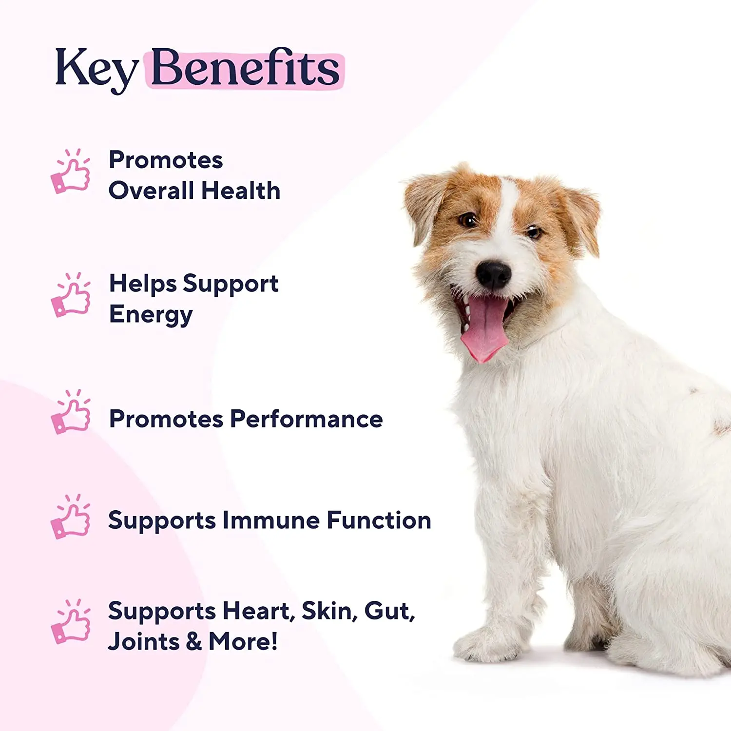 Multivitamin Chews for Dogs Immunity Joints Skin Coat Energy With Vitamins Oils Minerals 15 in 1 Dog Health Premium