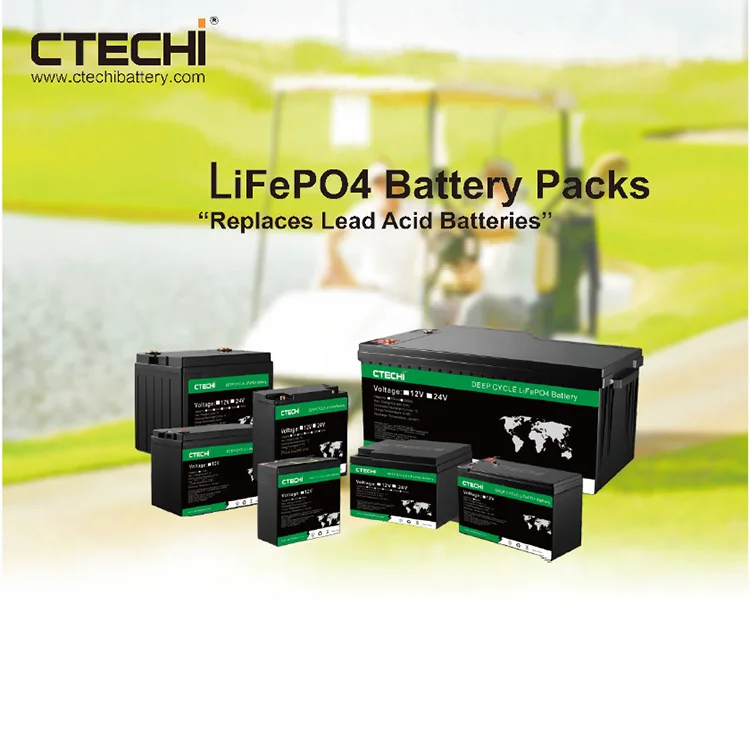 Customized 12 v lithium 100 amp hour OEM ODM Lifepo4 batteries