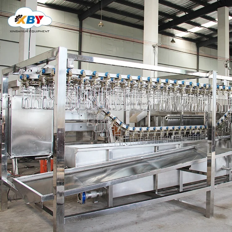 Full set of poultry slaughter equipment for processing  line in chicken butchery chicken plucking machine