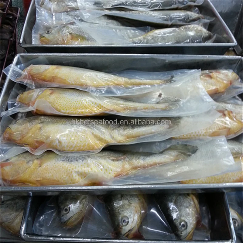 Свежие морепродукты целые круглые замороженные желтые горлахи для продажи