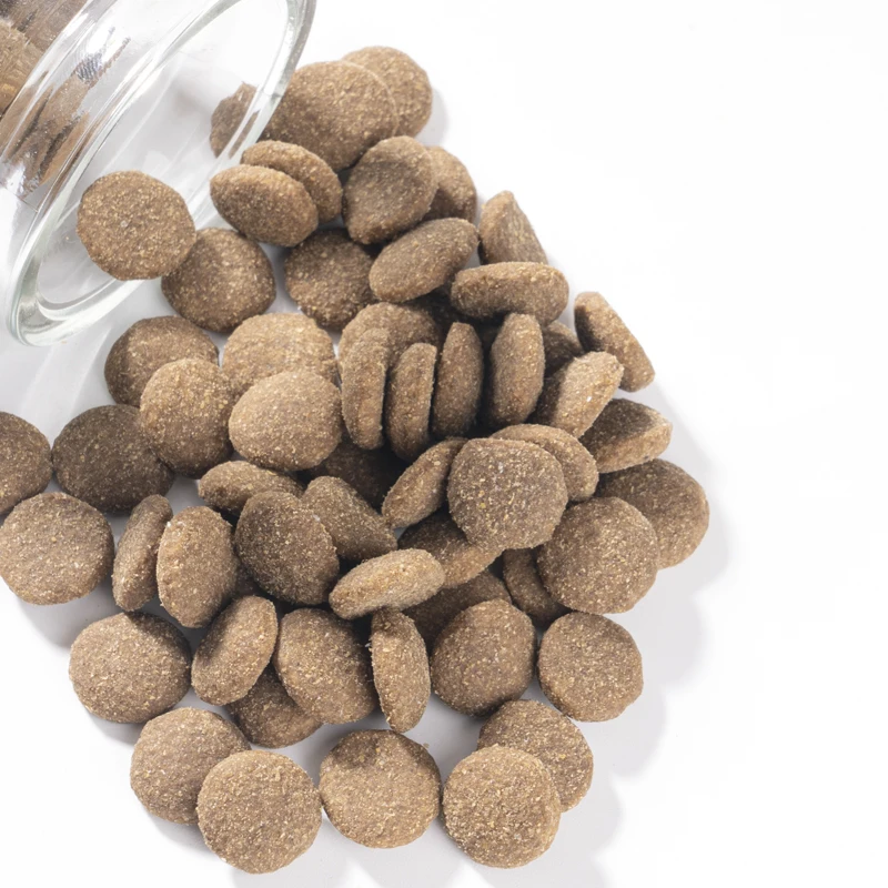 A variety of fruit and vegetable combinations, grain-free formula, hypoallergenic and mild all-vegetarian dog food