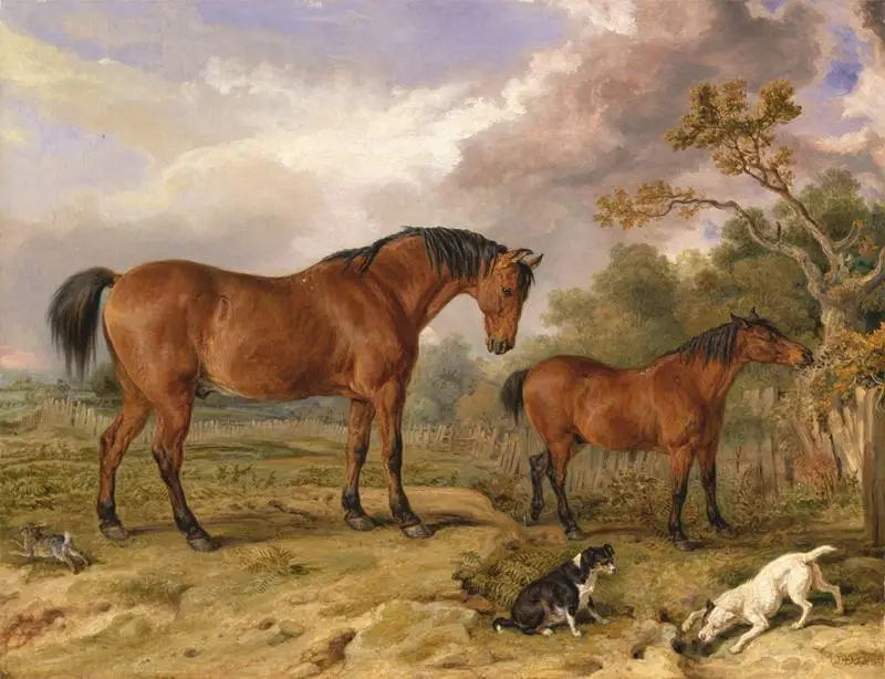 High quality Animal Horses Pattern Printed Canvas Pictures Artwork hand drawn oil painting
