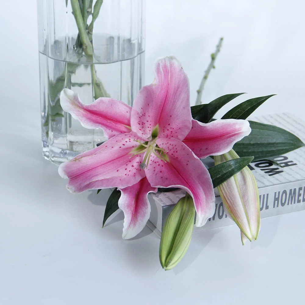 Свежие цветы мирового класса настоящие свежие розовые лилии сорбона Робина от китайского поставщика