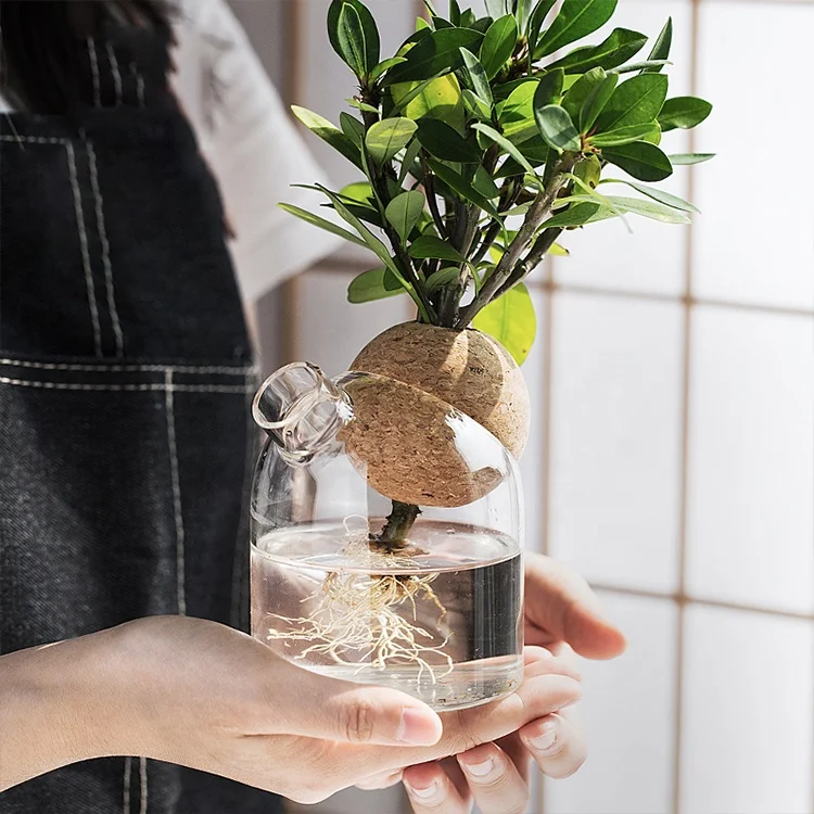 Creative Table Indoor Hydroponic Plant Round Nordic Decorative Clear Small Flower Bottle Wedding Vases