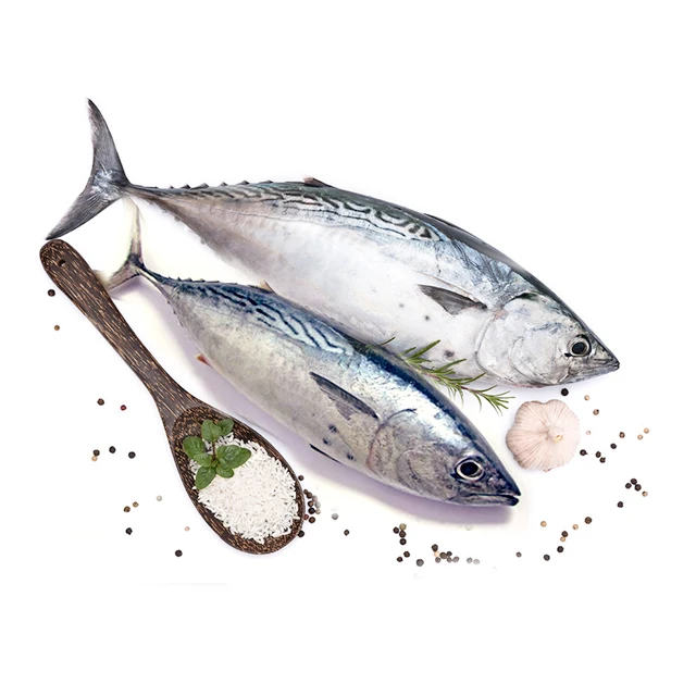 Новое поступление, Лидер продаж, оптовая цена, хорошее качество, замороженная круглая Бонито для консервов