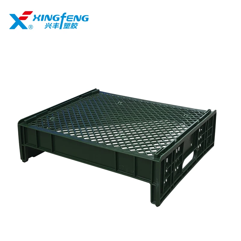 Bread Plastic Mesh Crate for Sale 545*485*165mm
