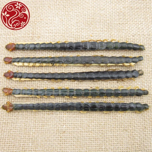 Лидер продаж, сороконожка Wu gong