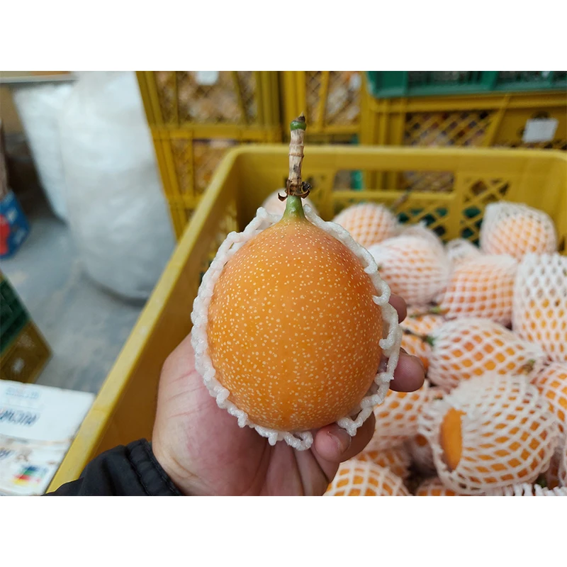 Fresh Golden Passion Fruit Granadilla Fresh Fruit on Selling