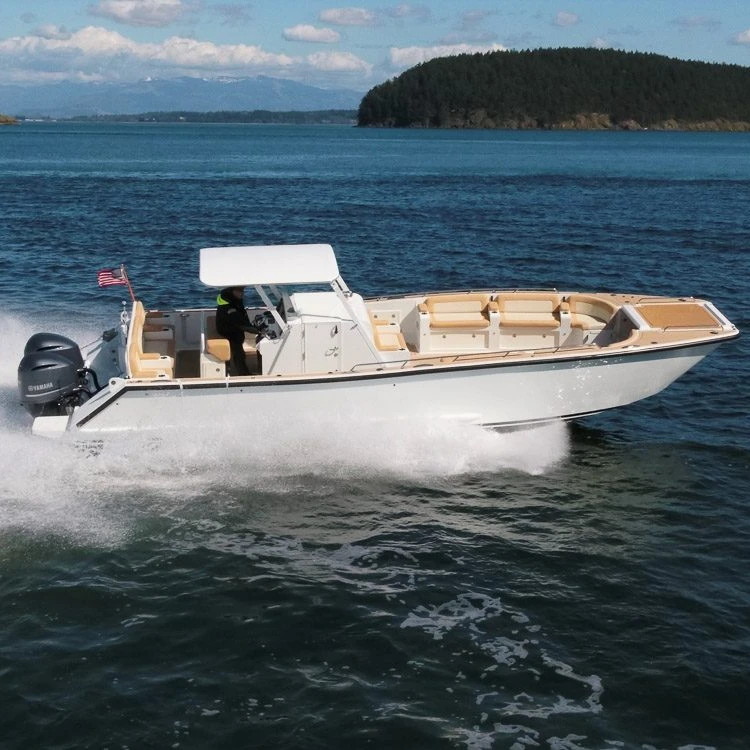 High speed sight seeing high quality passenger new river ferry boat for sale