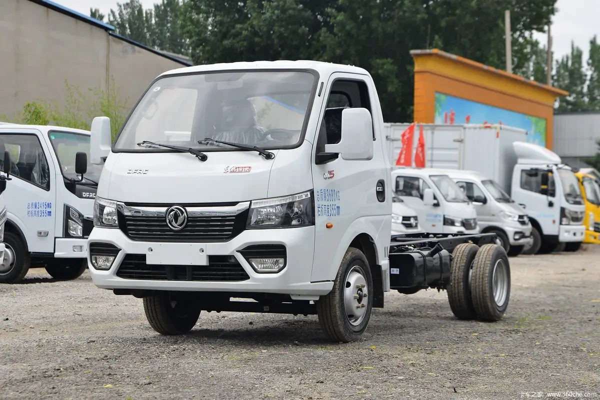 Mini Dongfeng diesel Truck Export to South Arercan Country