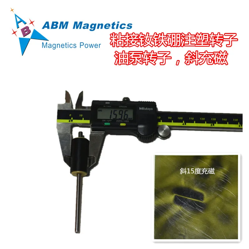 Compression Bonded  ndfeb neo 15 degrees oblique magnetized water oil pump Motor injection ferrite magnet
