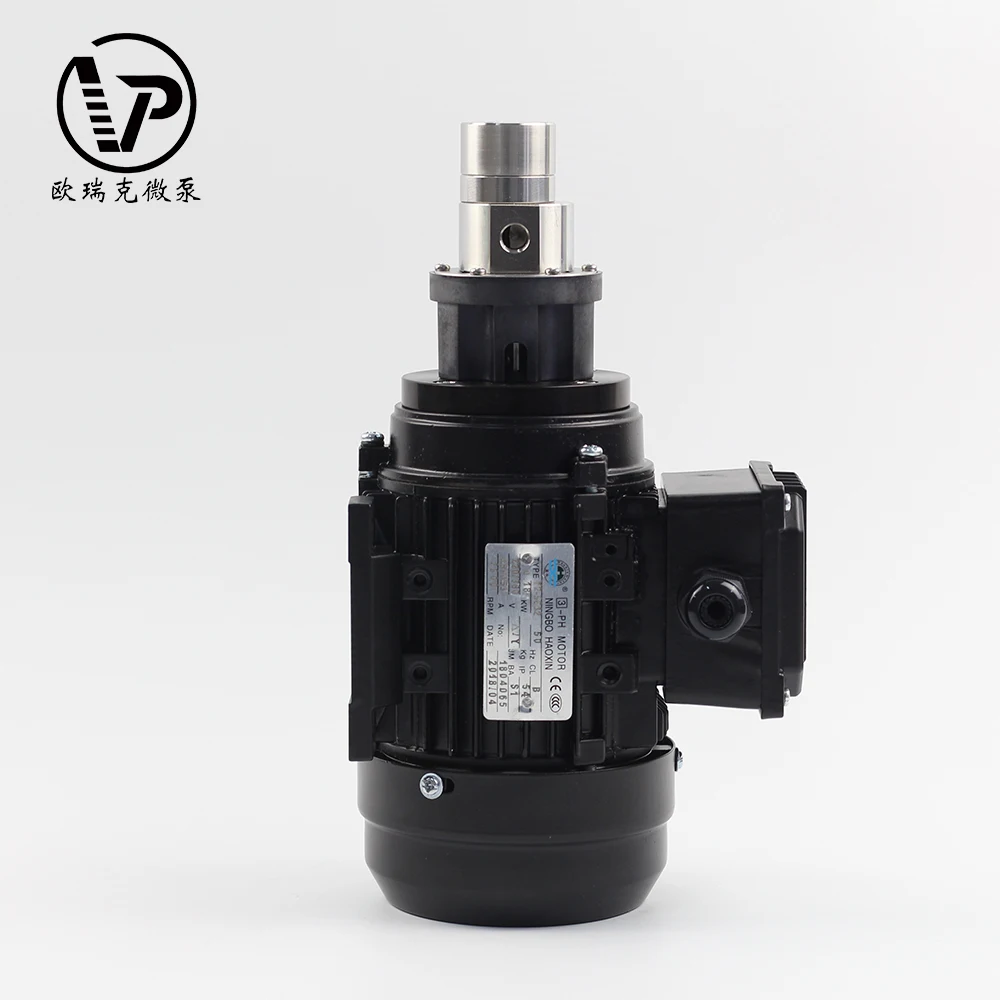 Manufacturer Cheap Price Customized Safe and Stable Food Grade Magnetic Drive AC Gear High Pressure Pump