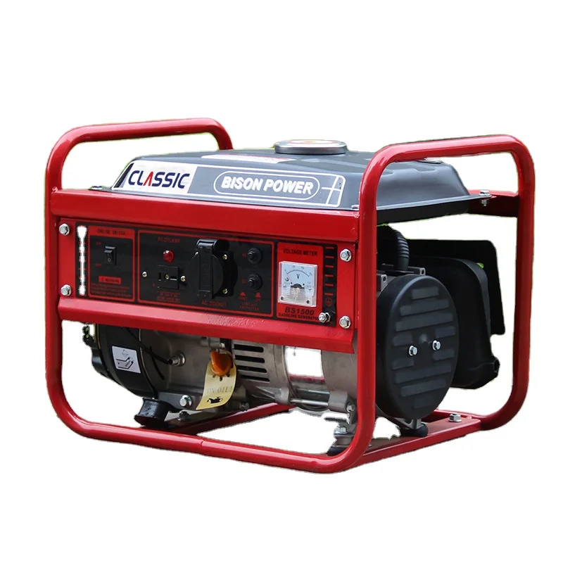 BISON generator motor 1kw high voltage low rpm generator set 220380 volt