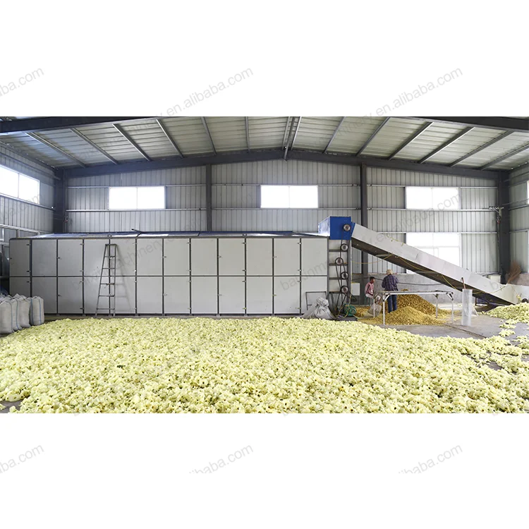 garlic dryer/cassava flour drying machine/drying sunflower seeds