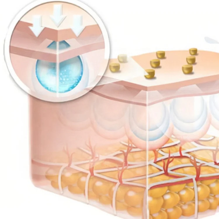 Food Grade Sodium Hyaluronate Powder Hyaluronic Acid Price