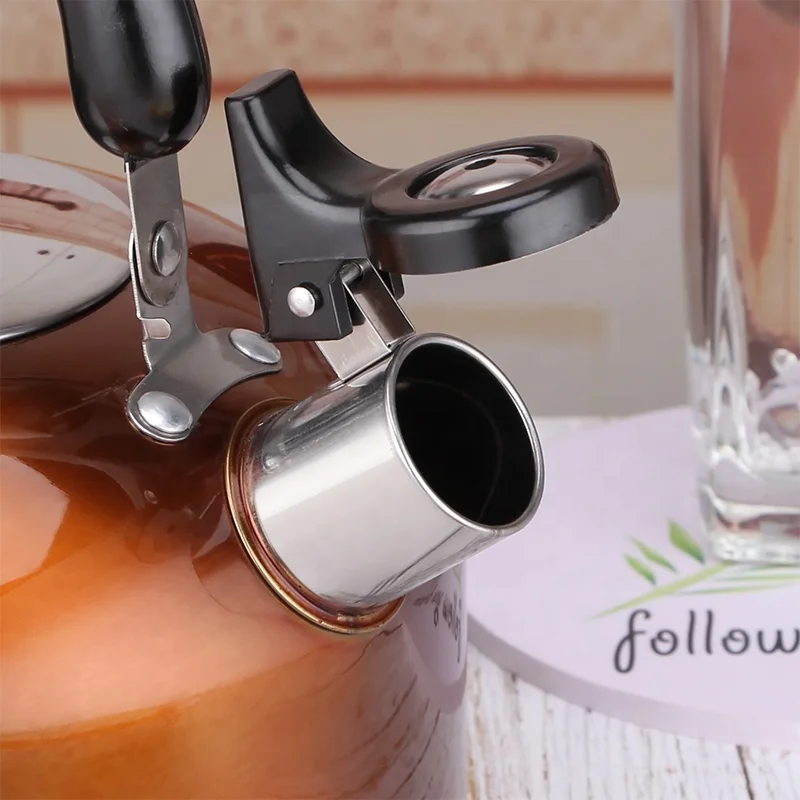 Stainless Steel Durable Silver Coffee Pot Induction Teapot Whistling Kettle Spout Tea Kettle With Bakelite Handle