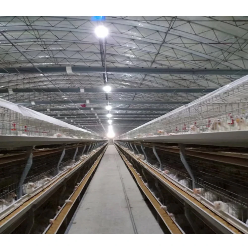 Good Quality Granjas Para El Cuidado De Los Pollos Industrial Chicken Coop House for Broiler Layer Steel Chicken House